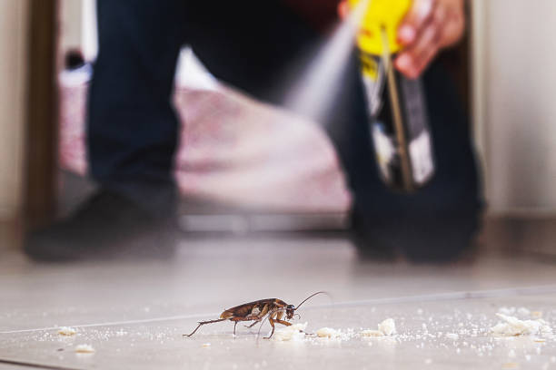 Best Insect Control  in Vernonia, OR